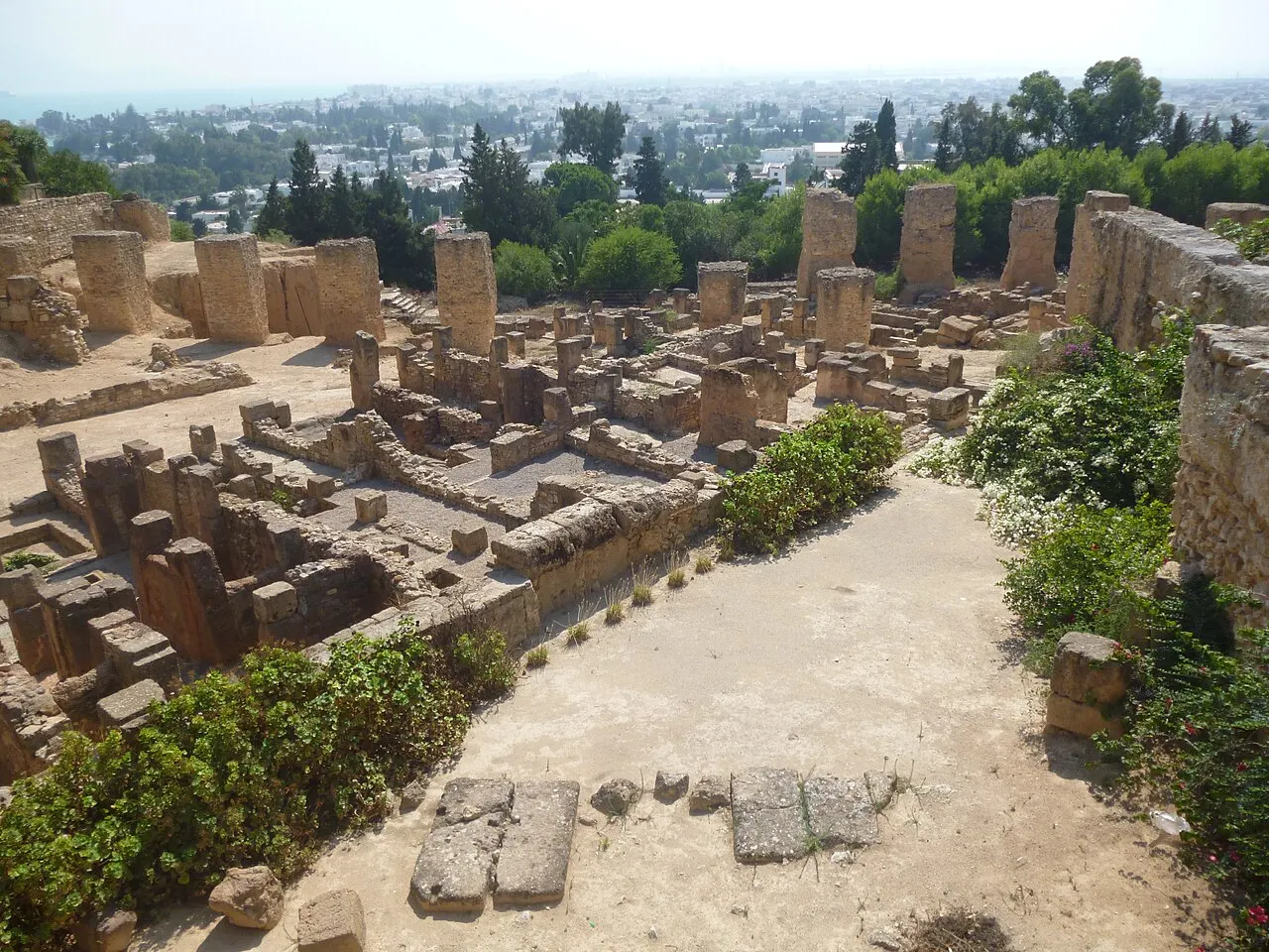 الموقع الأثري بقرطاج